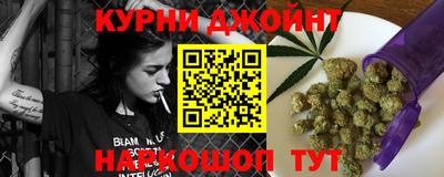 гидра Можга