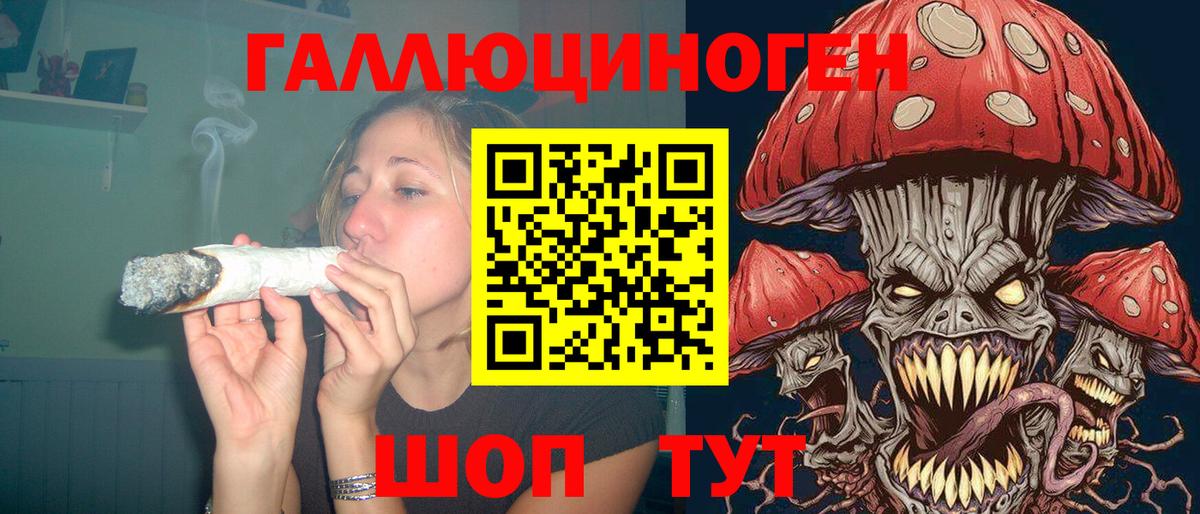 Псилоцибиновые грибы мицелий  Псилоцибиновые грибы Psilocybine cubensis  Углич  Вход с VPN 